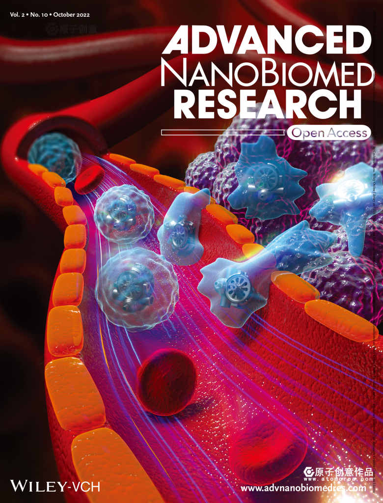 advanced-nanobiomed-research